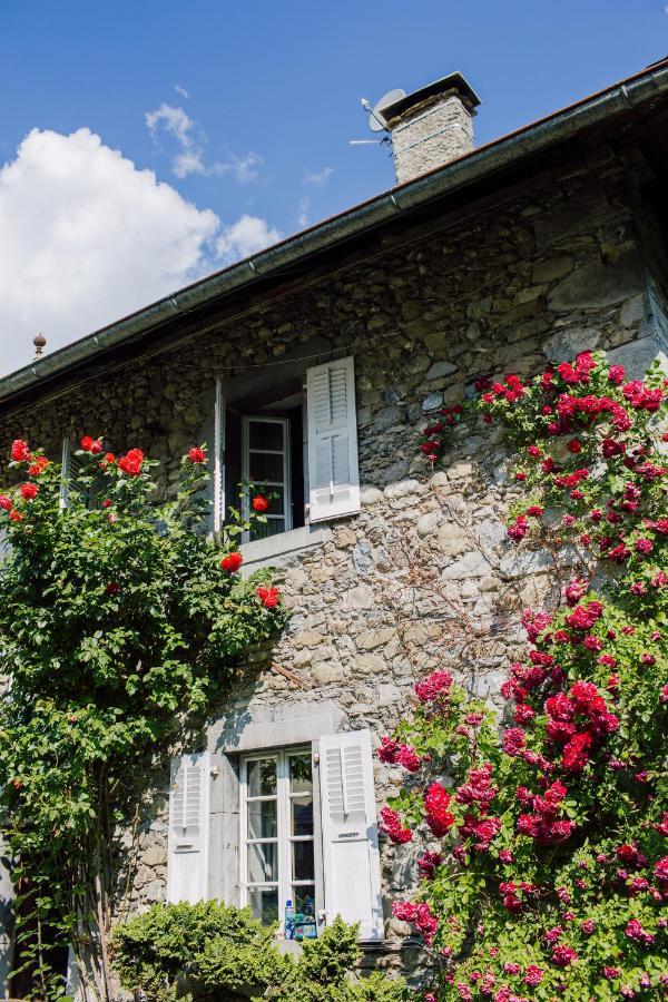 Hotel Mas De La Coutettaz, The Farmhouse Morzine Εξωτερικό φωτογραφία